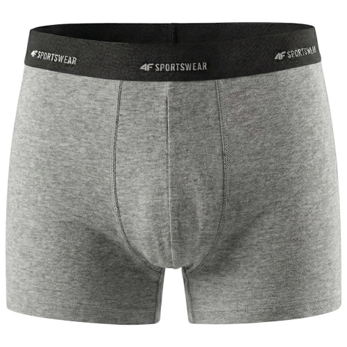 4F Ανδρικό εσώρουχο boxer 2-Pack
